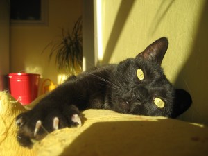 What Zulejka thinks of that