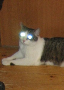 You are entering an alternate universe...