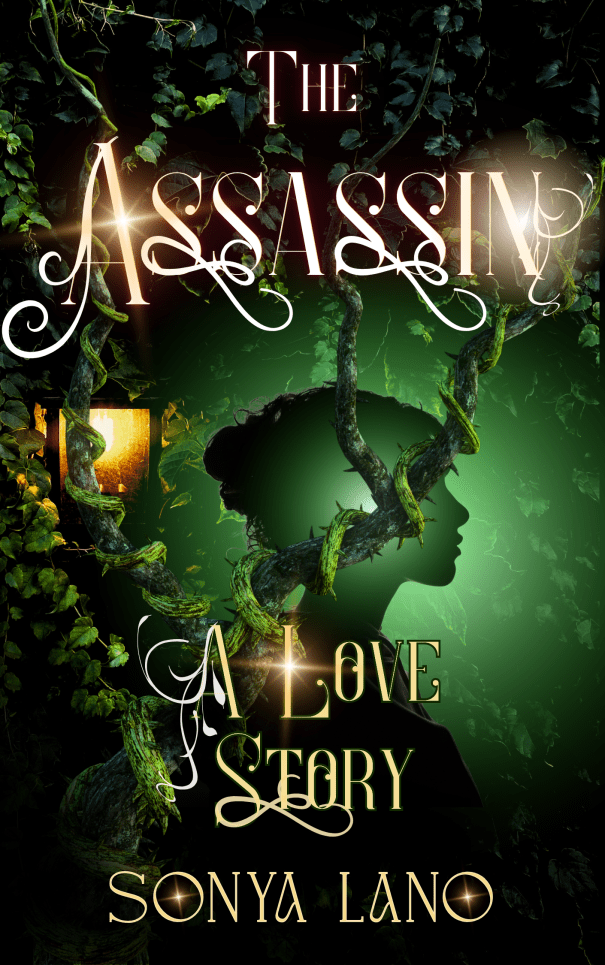 cover for The Assassin: A Love Story