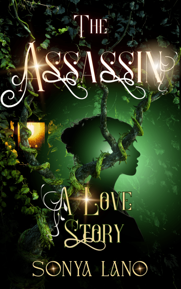 book cover for The Assassin